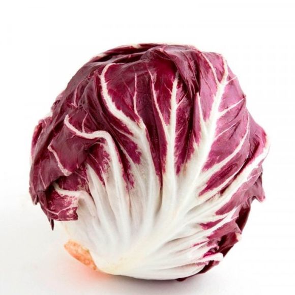 radicchio